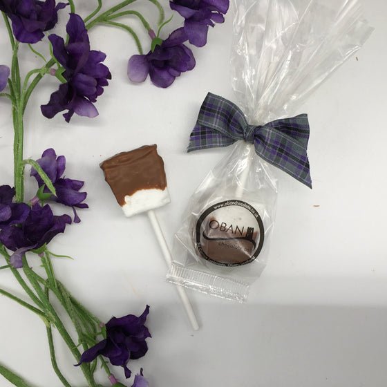 10 Homemade Chocolate Marshmallow favour